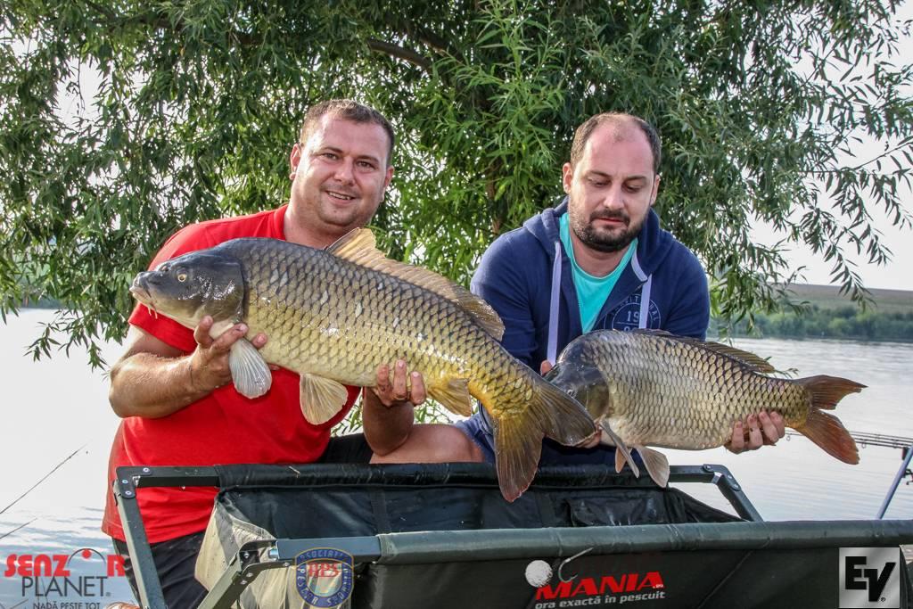 Chita 2 - ev-166zpsymz2oksu.jpg